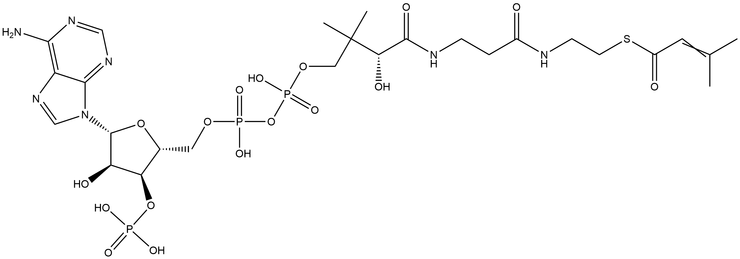 Coenzyme A, S-(3-methyl-2-butenoate) Struktur