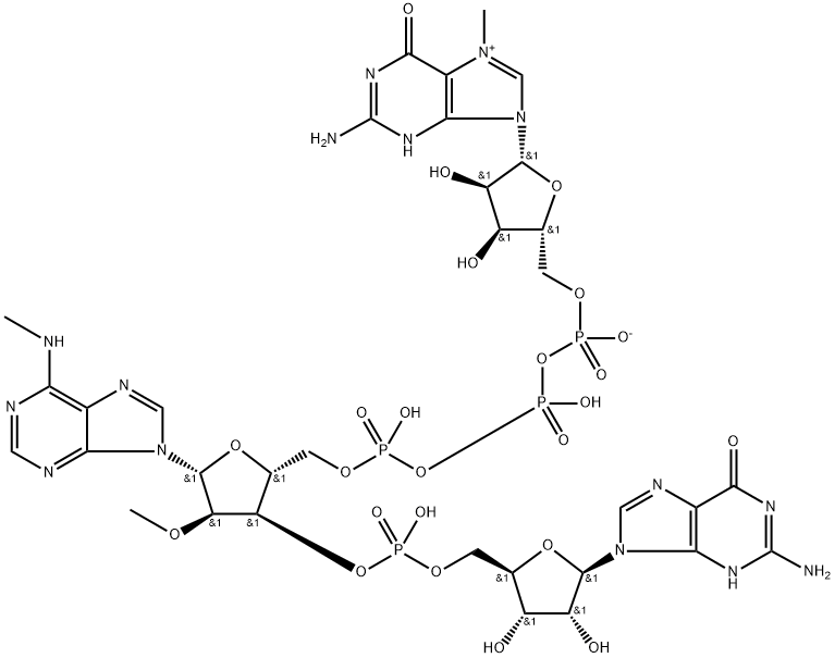 Guanosine, 7-methylguanylyloxyphosphinicooxyphosphinico-(5'→5')-N-methyl-2'-O-methylguanylyl-(3'→5')-, inner salt (9CI) Struktur