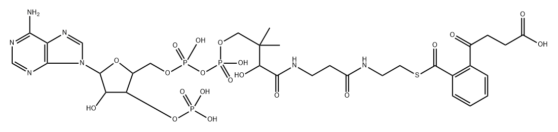 2-succinylbenzoyl-coenzyme A Struktur