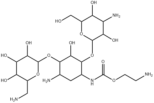 1-N-(2-aminoethoxycarbonyl)kanamycin A Struktur