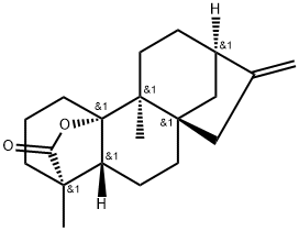 (4R)-10-Hydroxy-9α-methyl-20-norkaur-16-en-18-oic acid 18,10-lactone Struktur