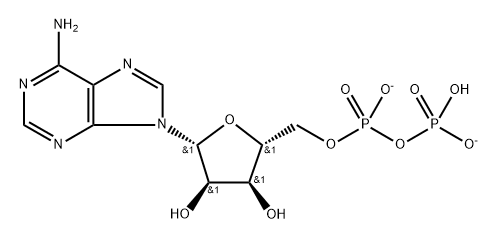 Adenosine 5'-(trihydrogen diphosphate), ion(2-) Struktur