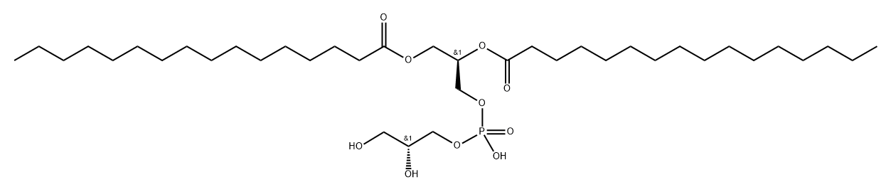 LDPPG Struktur