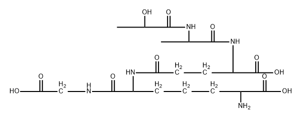 Gludapein Struktur