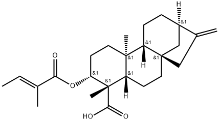 ent-3β-Tigloyloxykaur-16-en-19-oic acid Struktur