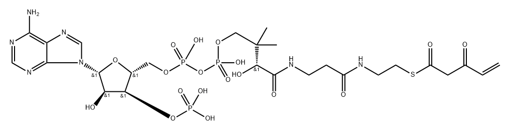 3-keto-4-pentenoyl-coenzyme A Struktur