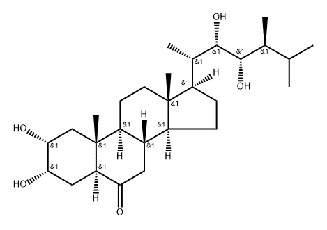 22,23-diepicastasterone Struktur