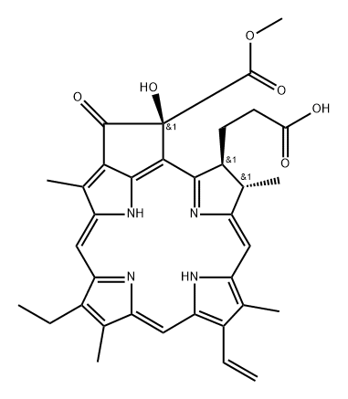 10-HYDROXY-PHEOPHORBIDEA Struktur