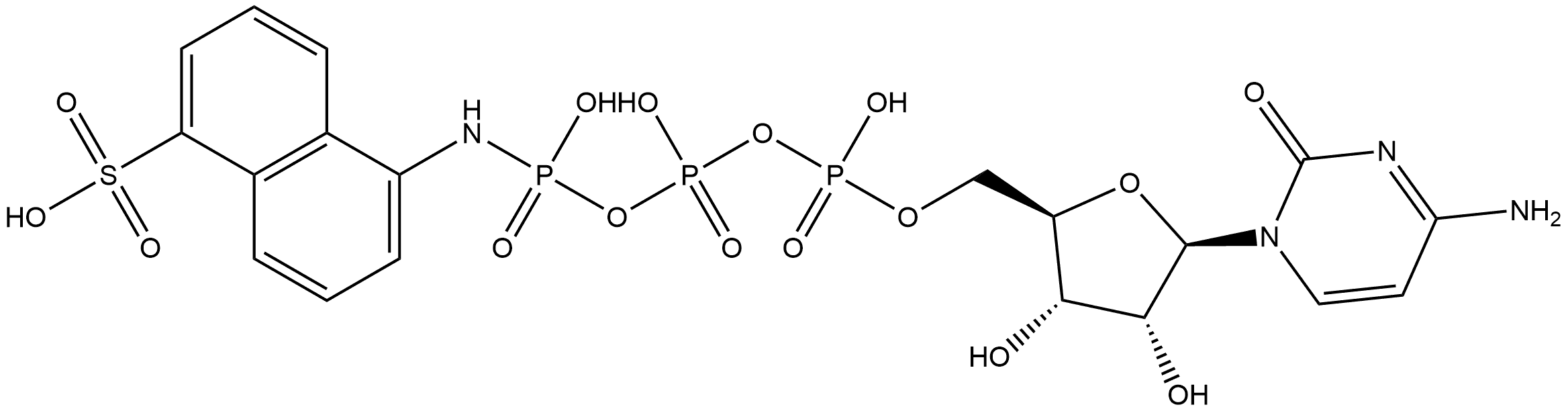 CTP-γ-AmNS Struktur