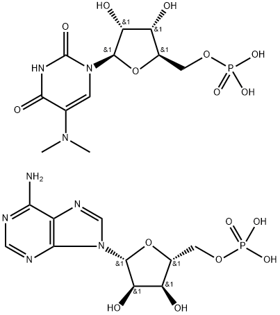 polyriboadenylic acid-polyribo-5-dimethylaminouridylic acid Struktur