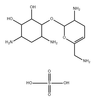 sisamine Struktur