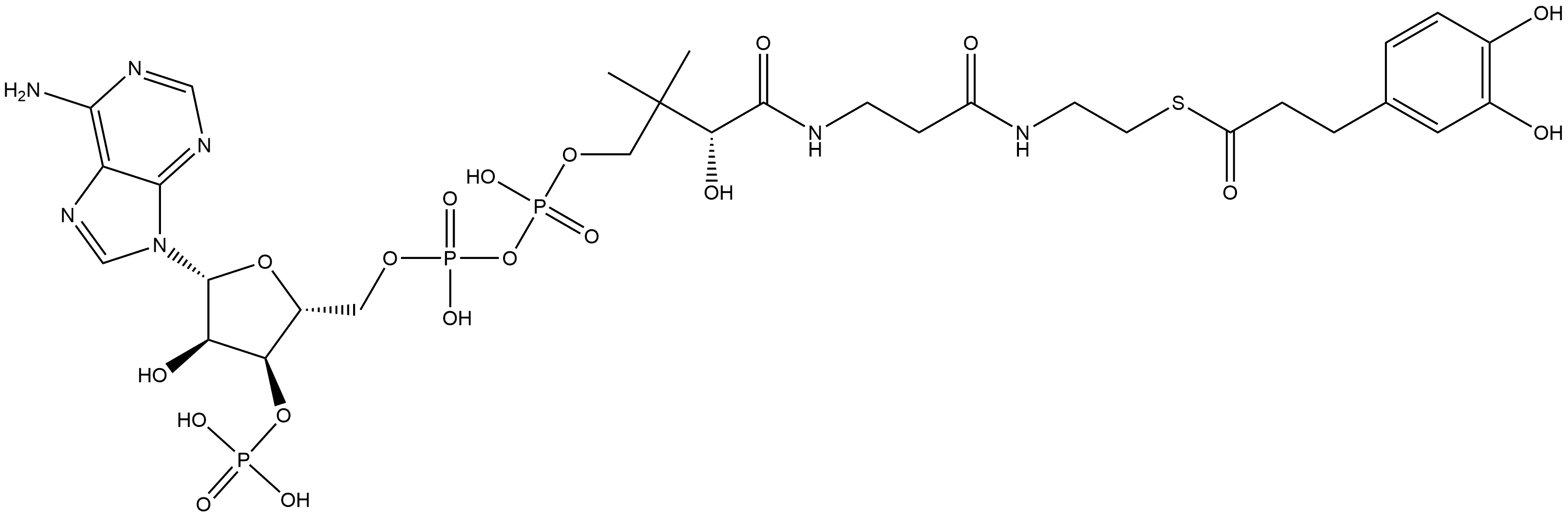 Coenzyme A, S-(3,4-dihydroxybenzenepropanoate) Struktur