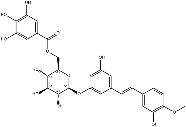 Rhaponticin 6''-O-gallate Struktur