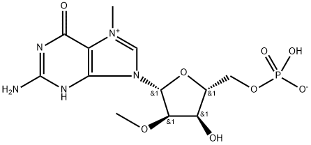 5'-Guanylic acid, 7-methyl-2'-O-methyl-, inner salt Struktur