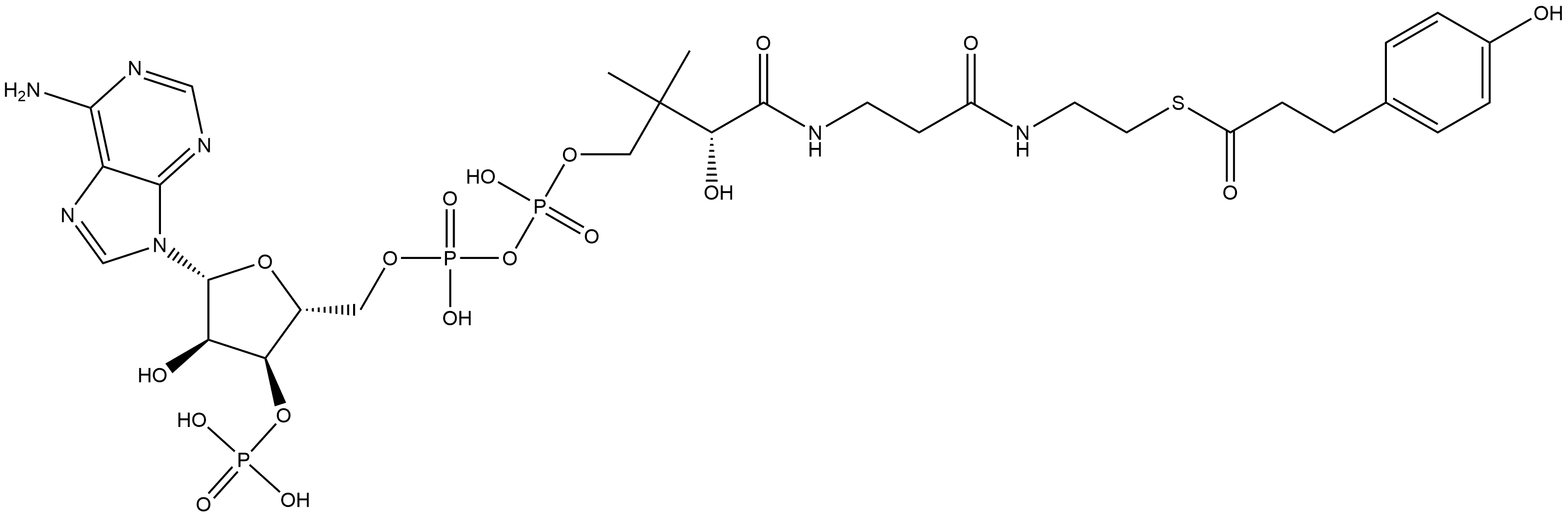 Coenzyme A, S-(4-hydroxybenzenepropanoate) Struktur