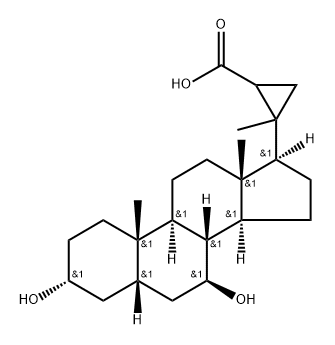 3,7-dihydroxy-20,22-methylenecholan-23-oic acid Struktur