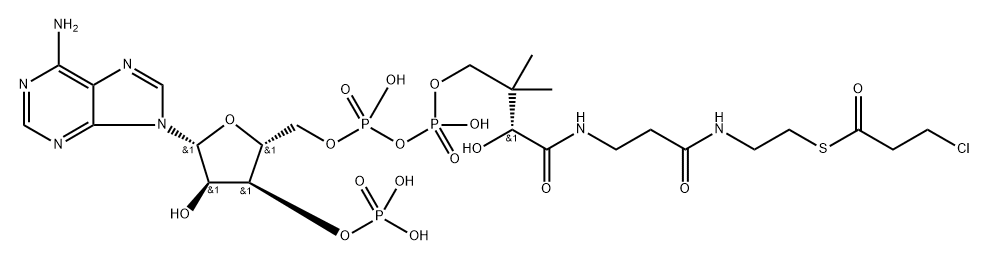 3-chloropropionyl-coenzyme A Struktur