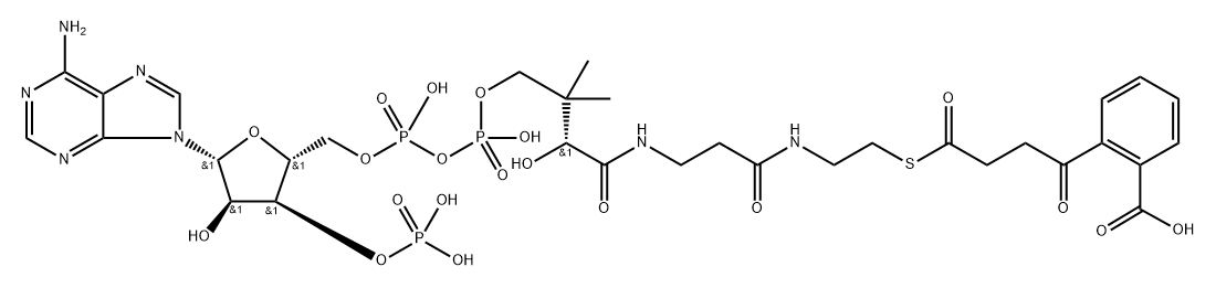 4-(2'-carboxyphenyl)-4-oxobutyryl-coenzyme A ester Struktur