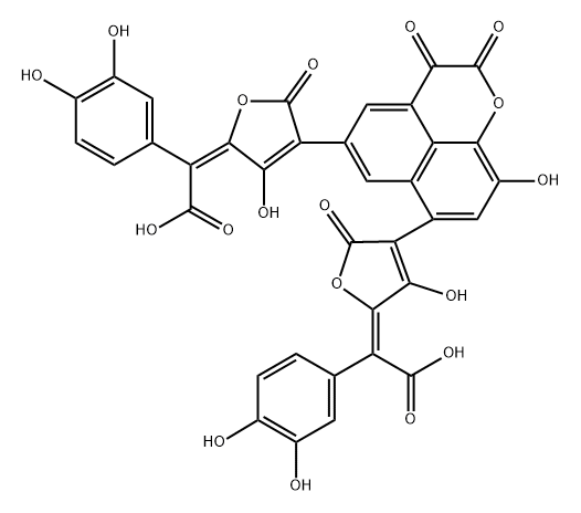  化學(xué)構(gòu)造式