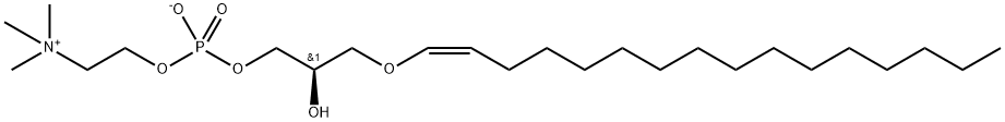 C16(PLASM) LPC Struktur