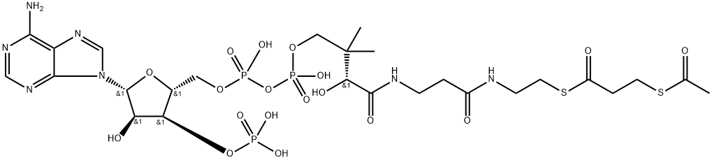 S-acetyl-3-mercaptopropanoyl-coenzyme A Struktur