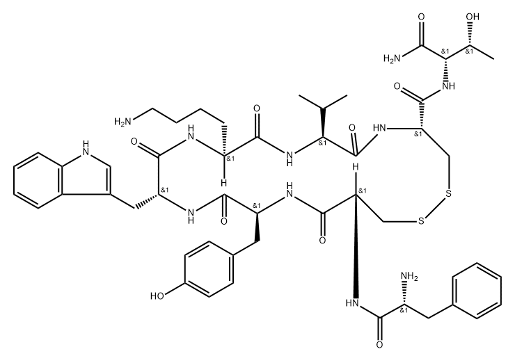 RC 121 Struktur