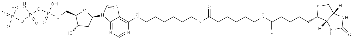 Biotin-14-dATP Struktur