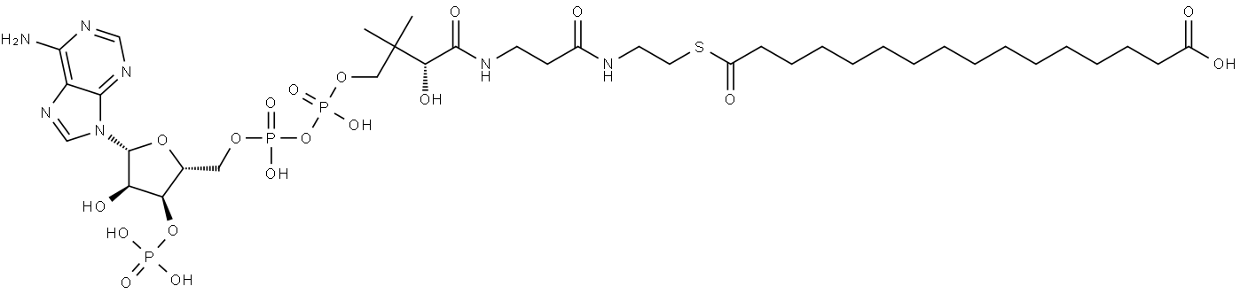 Coenzyme A, S-(hydrogen hexadecanedioate) Struktur