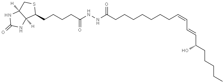 INDEX NAME NOT YET ASSIGNED Struktur