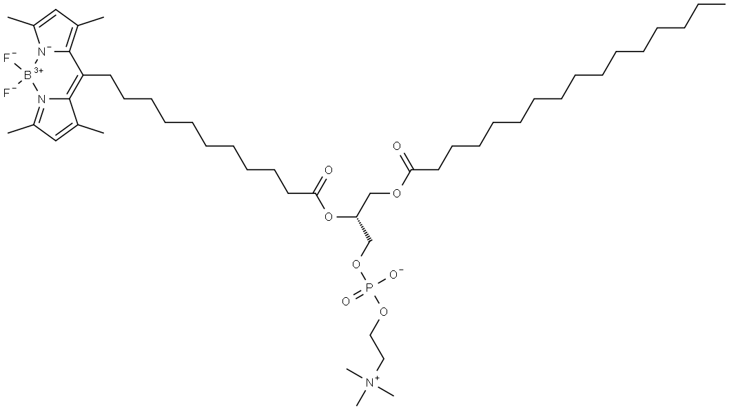 1-palMitoyl-2-(dipyrroMetheneboron difluoride)undecanoyl-sn-glycero-3-phosphocholine Struktur