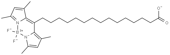 BODIPY-Palmitate Struktur