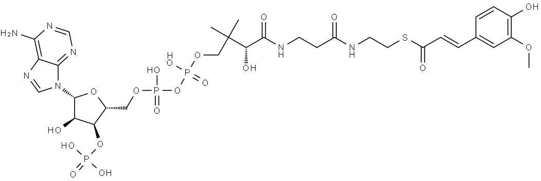 Coenzyme A, S-[(2E)-3-(4-hydroxy-3-methoxyphenyl)-2-propenoate] Struktur