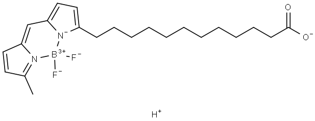 boron(+3) cation, hydrogen(+1) cation, 12-[5-[(Z)-(5-methylpyrrol-2-yl idene)methyl]pyrrol-2-yl]dodecanoate, difluoride Struktur