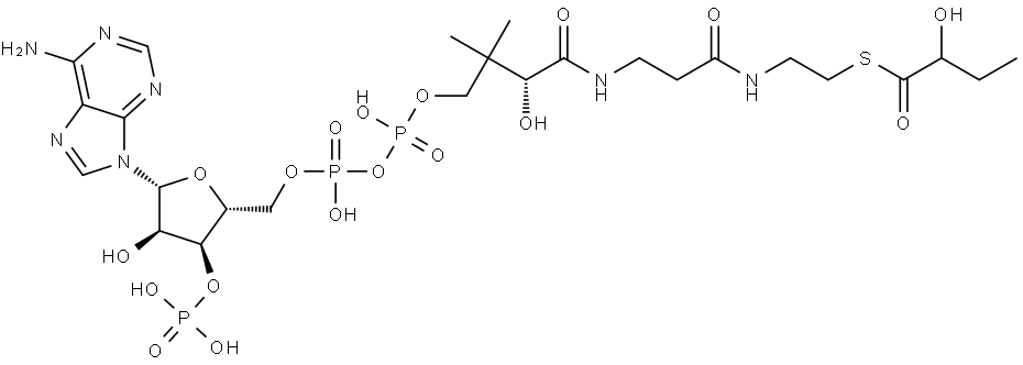 Coenzyme A, S-(2-hydroxybutanoate) Struktur