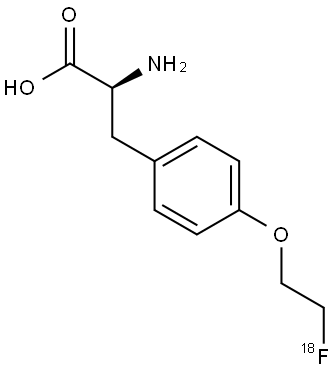 Fet F18 Struktur