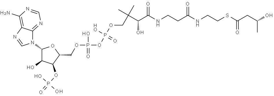 Coenzyme A, S-[(3R)-3-hydroxybutanoate] Struktur