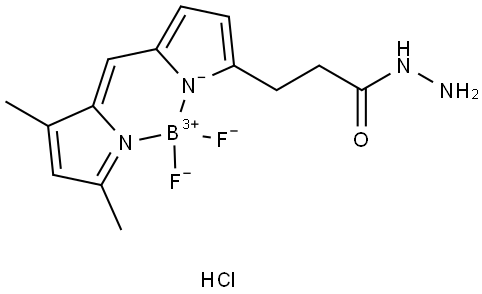 BDP FL hydrazide Struktur