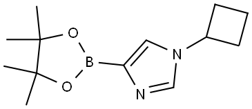 1-cyclobutyl-4-(4,4,5,5-tetramethyl-1,3,2-dioxaborolan-2-yl)-1H-imidazole Struktur