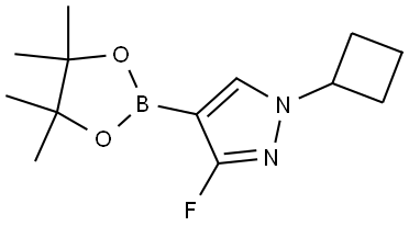 1-cyclobutyl-3-fluoro-4-(4,4,5,5-tetramethyl-1,3,2-dioxaborolan-2-yl)-1H-pyrazole Struktur