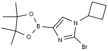 2-bromo-1-cyclobutyl-4-(4,4,5,5-tetramethyl-1,3,2-dioxaborolan-2-yl)-1H-imidazole Struktur