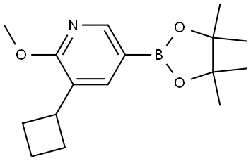 3-cyclobutyl-2-methoxy-5-(4,4,5,5-tetramethyl-1,3,2-dioxaborolan-2-yl)pyridine Struktur