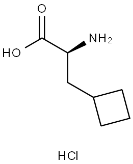 Cyclobutanepropanoic acid, α-amino-, hydrochloride (1:1), (αS)- Struktur