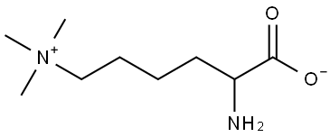 laminine Struktur