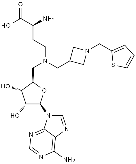 INDEX NAME NOT YET ASSIGNED Struktur