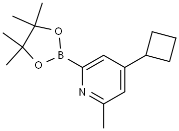 4-cyclobutyl-2-methyl-6-(4,4,5,5-tetramethyl-1,3,2-dioxaborolan-2-yl)pyridine Struktur