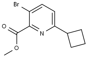 methyl 3-bromo-6-cyclobutylpicolinate Struktur