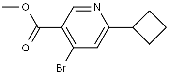 methyl 4-bromo-6-cyclobutylnicotinate Struktur