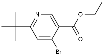 ethyl 4-bromo-6-(tert-butyl)nicotinate Struktur