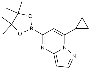 7-cyclopropyl-5-(4,4,5,5-tetramethyl-1,3,2-dioxaborolan-2-yl)pyrazolo[1,5-a]pyrimidine Struktur