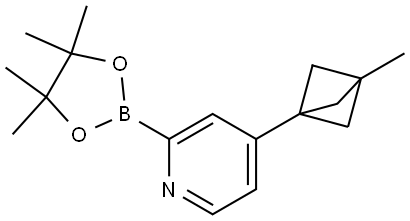 4-(3-methylbicyclo[1.1.1]pentan-1-yl)-2-(4,4,5,5-tetramethyl-1,3,2-dioxaborolan-2-yl)pyridine Struktur